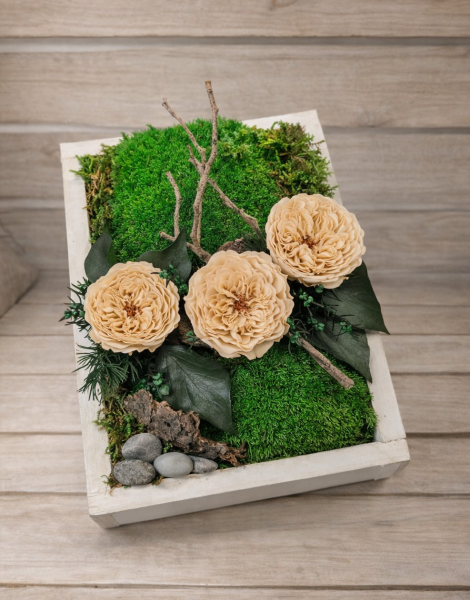 krabicka s 3 ruzami.png